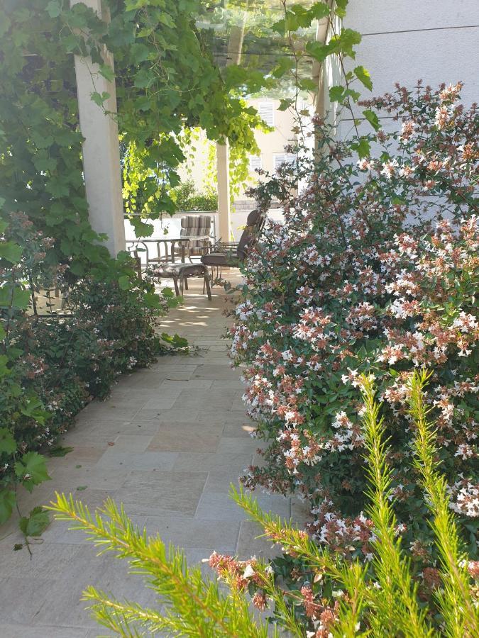 Abelia, Two Terraces, Hot Tub, Free Parking Διαμέρισμα Ντουμπρόβνικ Εξωτερικό φωτογραφία