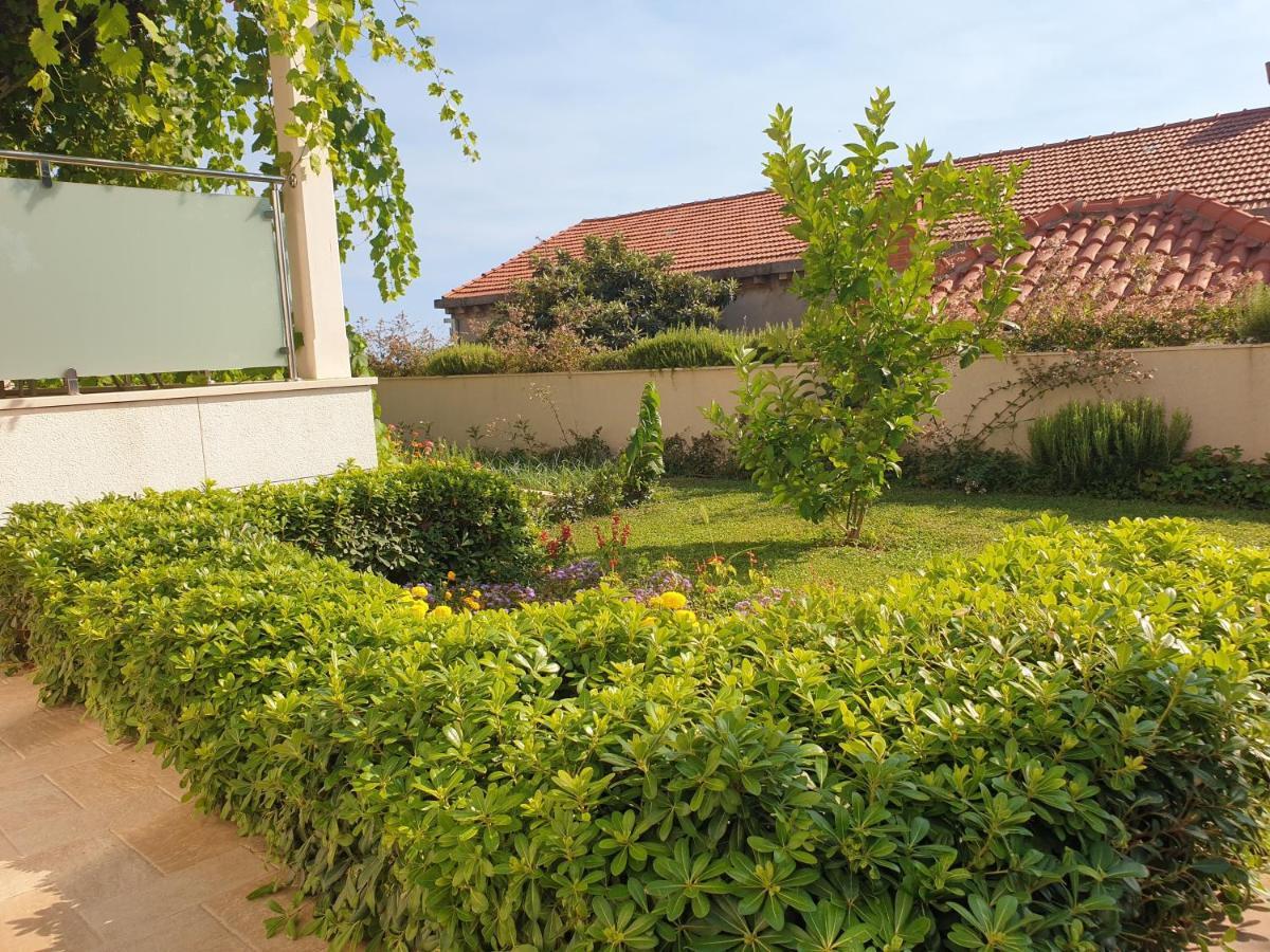 Abelia, Two Terraces, Hot Tub, Free Parking Διαμέρισμα Ντουμπρόβνικ Εξωτερικό φωτογραφία